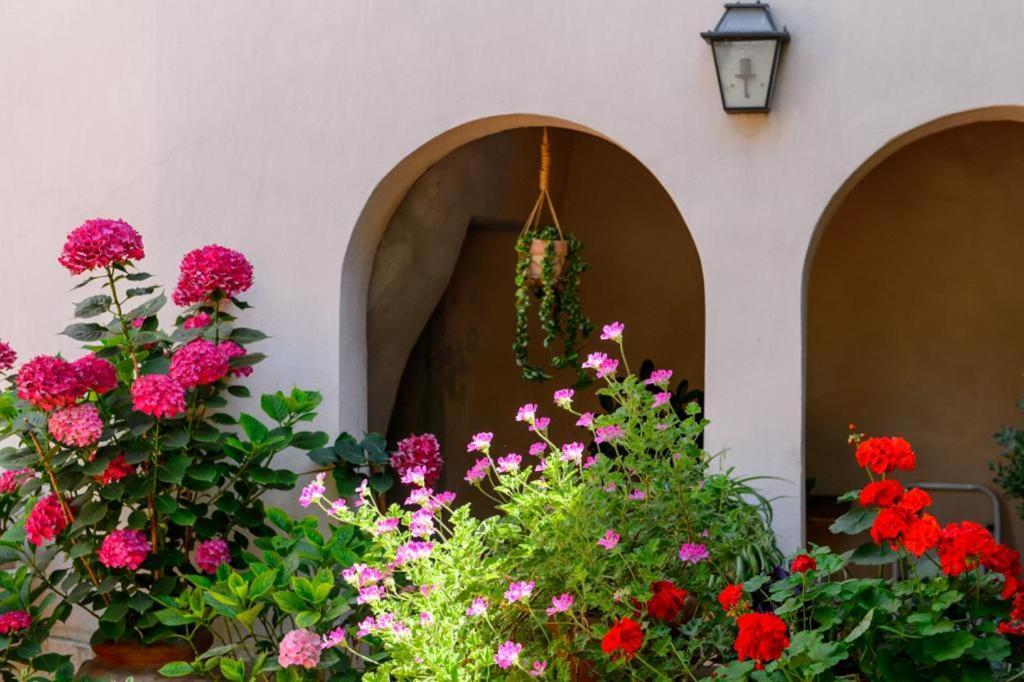 Mimma Bed&Flavour Bed & Breakfast Narni Eksteriør bilde
